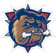 Bulldogs announce more cuts